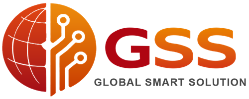GSS Việt Nam